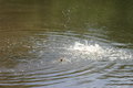 2008 EBC Service at Oxbow Park-171.jpg